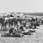 cavalry in warwick